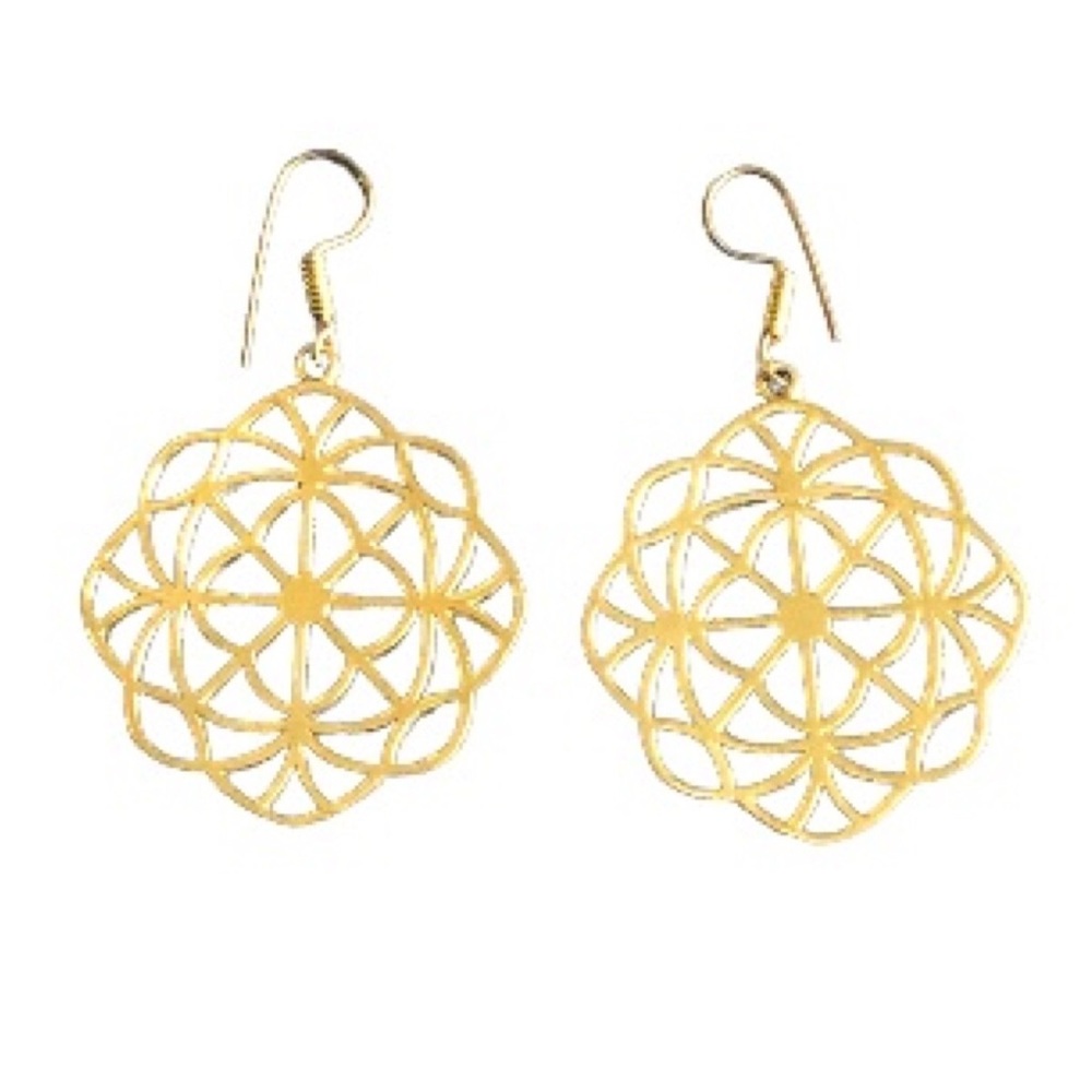 Brass Gold Tone Earrings